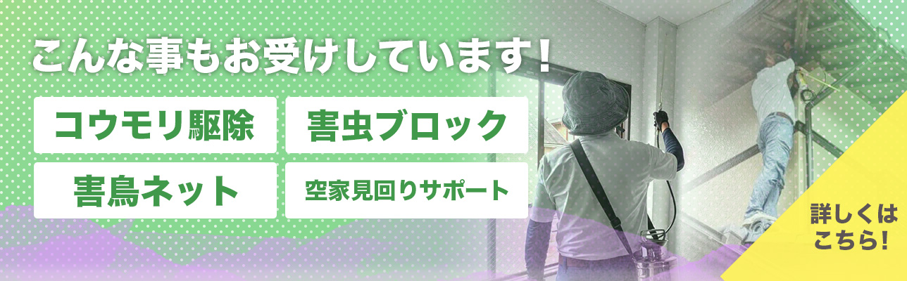 はち駆除レスキュー亀岡では、屋根裏害獣駆除、害虫ブロック、空家見回りサポートもお受けしております。詳しくはこちら。