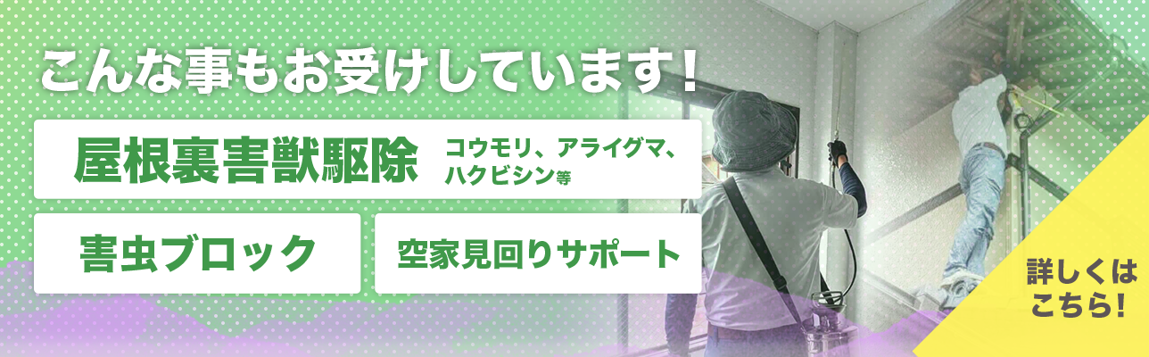 はち駆除レスキュー亀岡では、屋根裏害獣駆除、害虫ブロック、空家見回りサポートもお受けしております。詳しくはこちら。